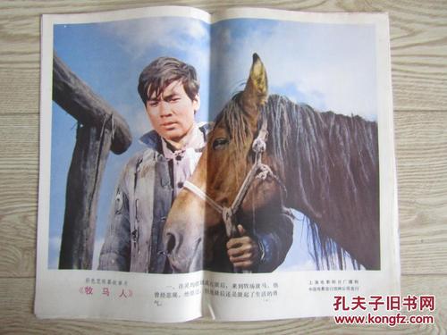 本科证和学位证